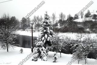Photo Texture of Background Winter Nature0005